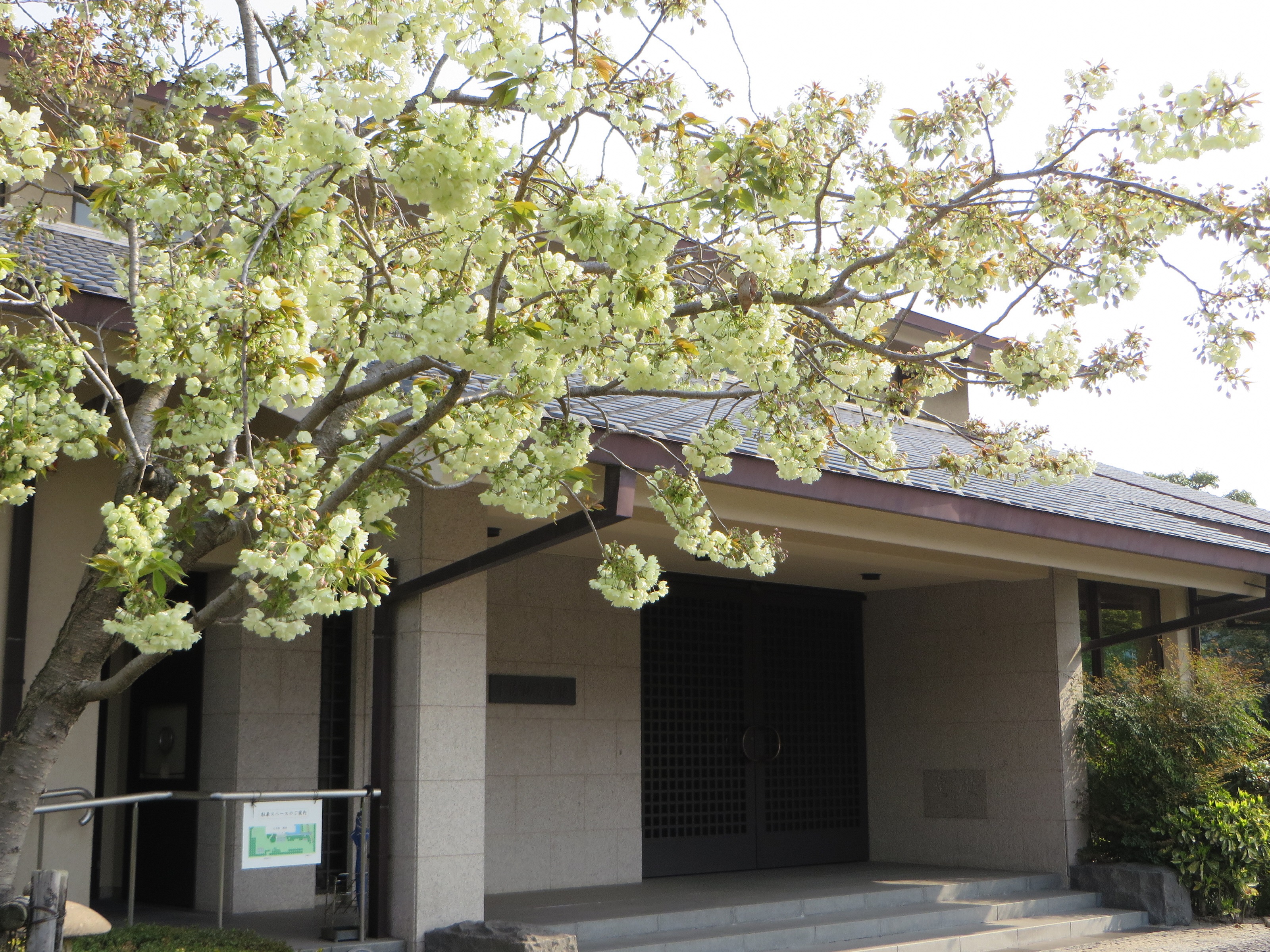 文学関連団体・文学的資産