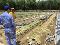 被災地視察を行う大森雅夫岡山市長　その2