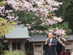 宗堂桜フェスタの様子