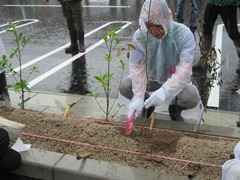 植樹を行う大森雅夫岡山市長