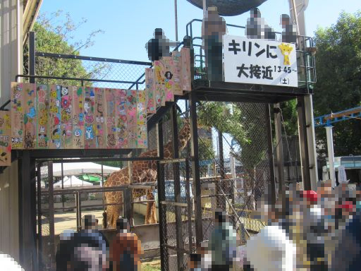 キリンに大接近のイベント風景