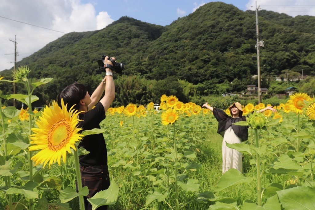 牟佐ひまわり畑での撮影4