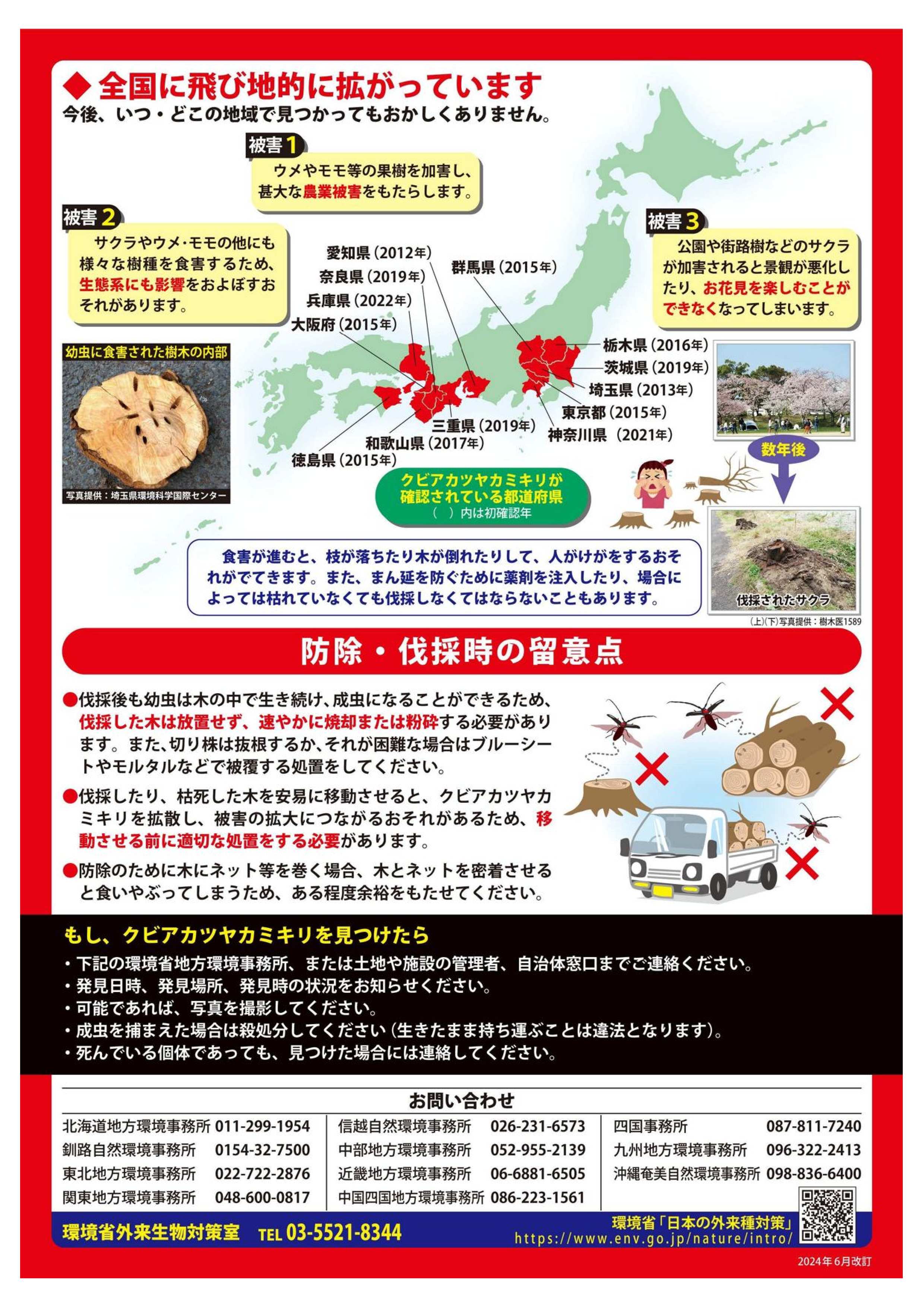 環境省クビアカツヤカミキリチラシ裏