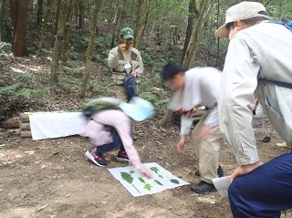 葉っぱのカルタ取り