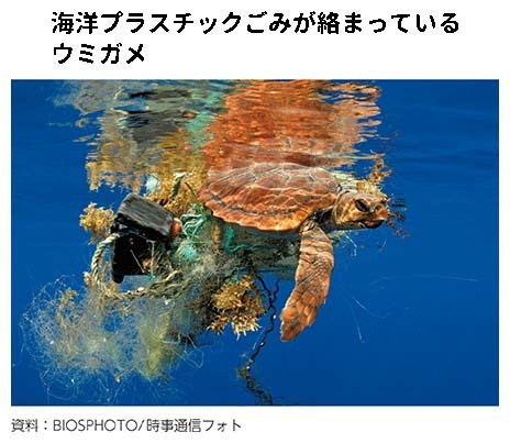 海洋プラスチックごみが絡まっているウミガメ