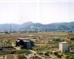 農村風景の写真