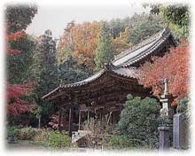 中津山願興寺