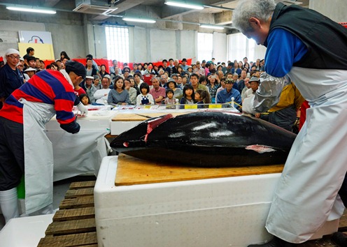 マグロの解体ショーと即売会の画像