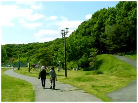 遊歩道画像