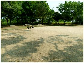 4当新田公園_広場