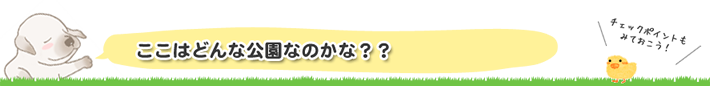 どんな公園かな