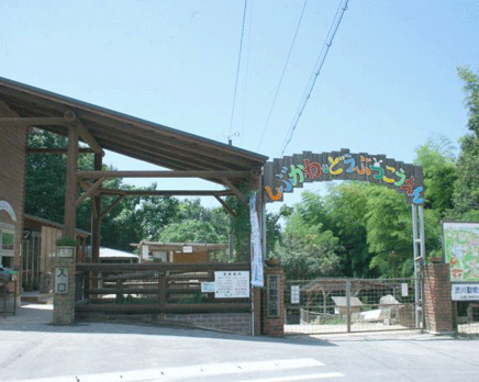 渋川動物公園の画像