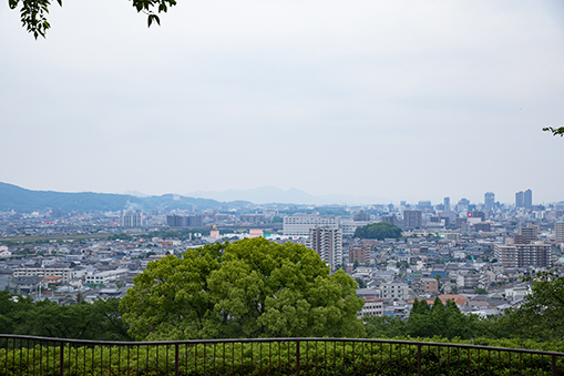 半田山植物園03