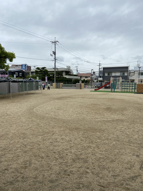 雨です