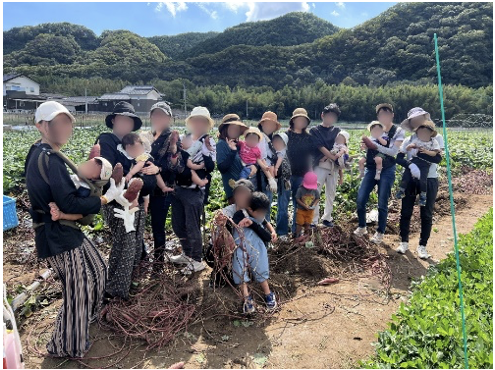 お芋堀りの様子