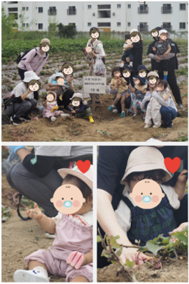 芋掘り会の様子