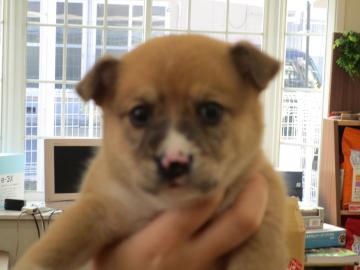 1D2025124(天草くん)