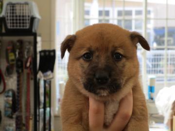 1D2025126(はるかちゃん)