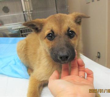 1D2025158(ミゾレちゃん)1