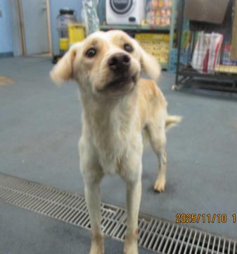 1D2025111(ソウくん)