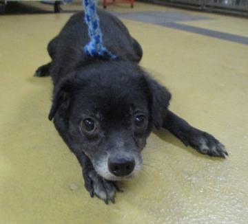 1D2025132(いつきちゃん)