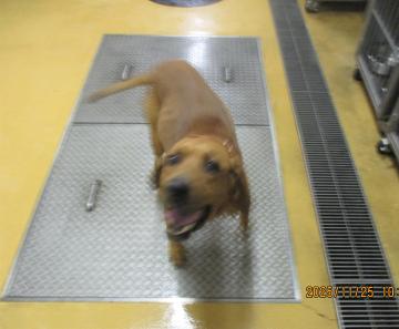 1D2025134(シロウくん)2