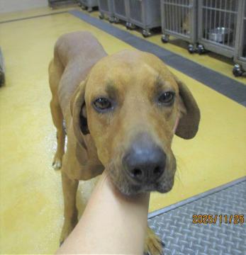 1D2025134(シロウくん)