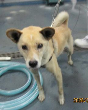 1D2025166(ヒコタロウくん)