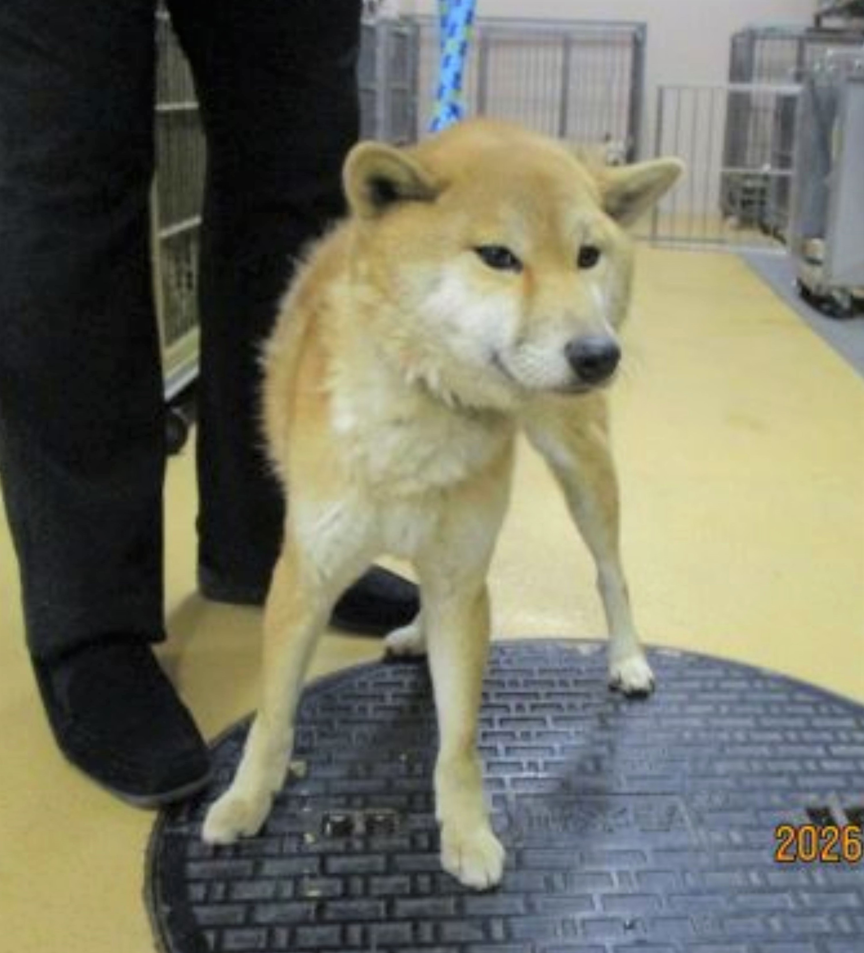 1D2025173(梅ちゃん)