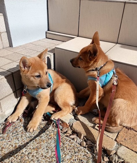 1D2025144(海くん)2