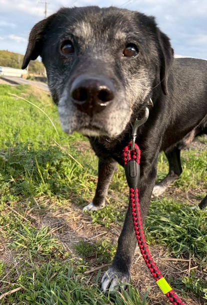 1D2025122（オジーくん)