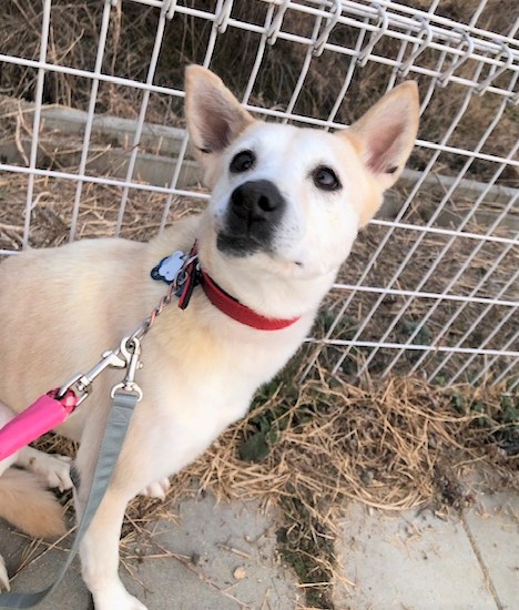 1D2025088（みまちゃん)