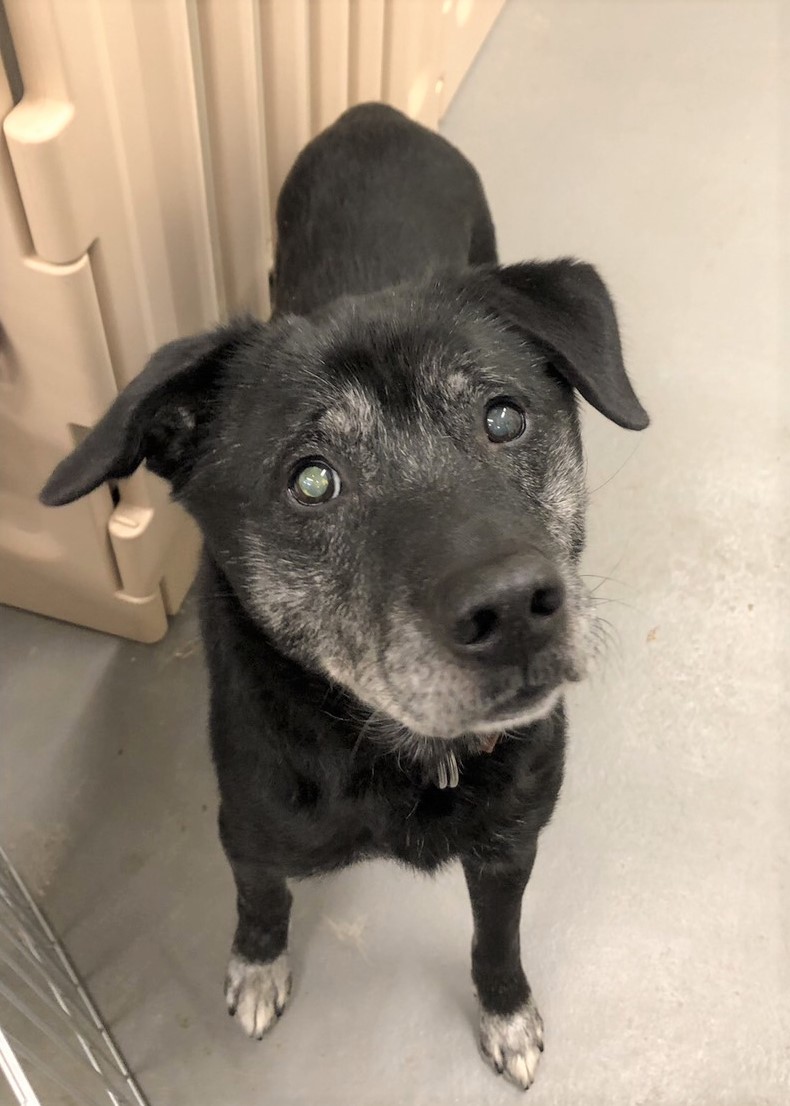 1D2025122（オジーくん)