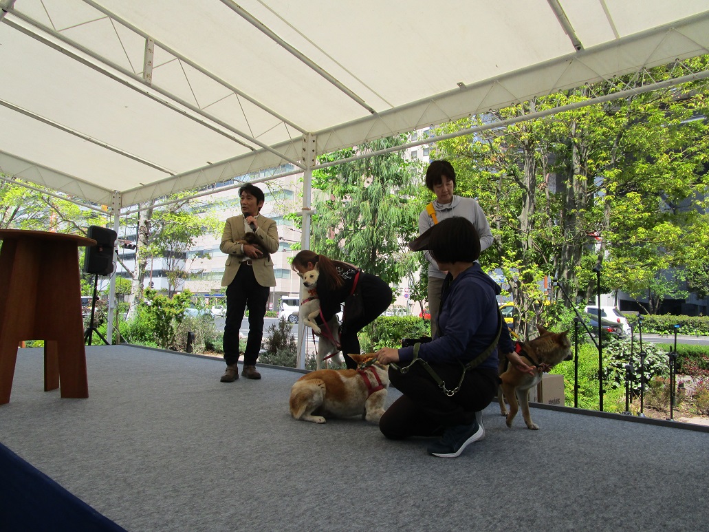 犬の譲渡会3