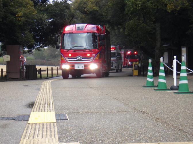 消防車出動の様子の画像