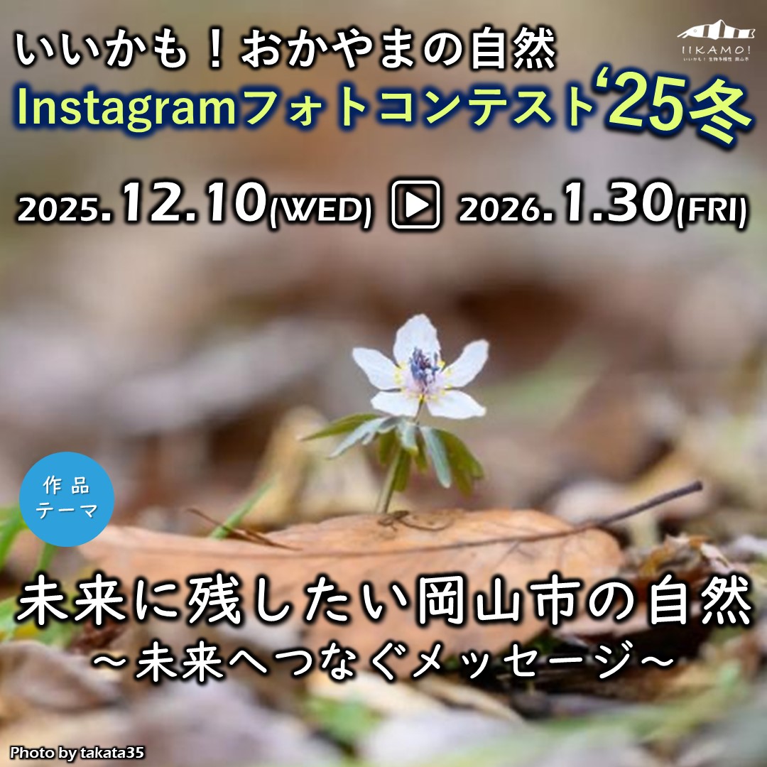 作品募集の写真1