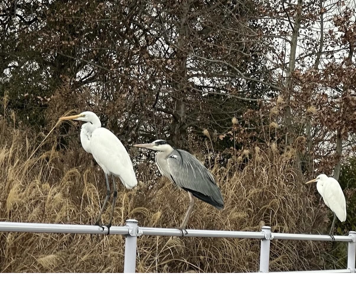 kou_miyoさんの作品