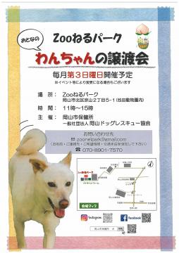 Zooねるチラシ