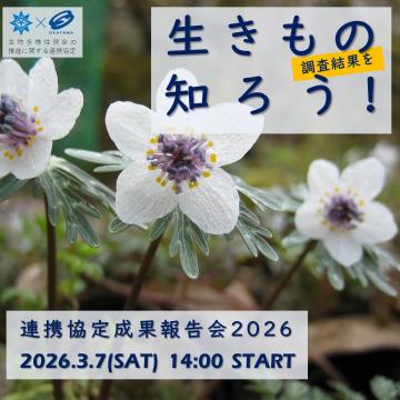 成果報告会募集の画像