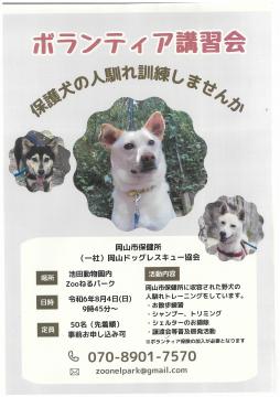 犬の訓練