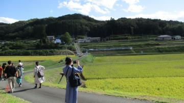 御津の美しい田園風景！