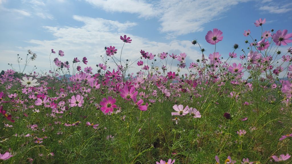 10月8日写真