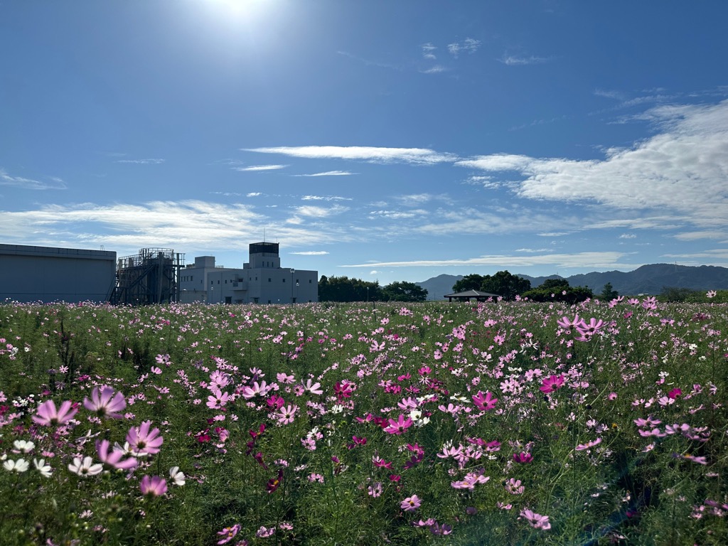 10月6日写真