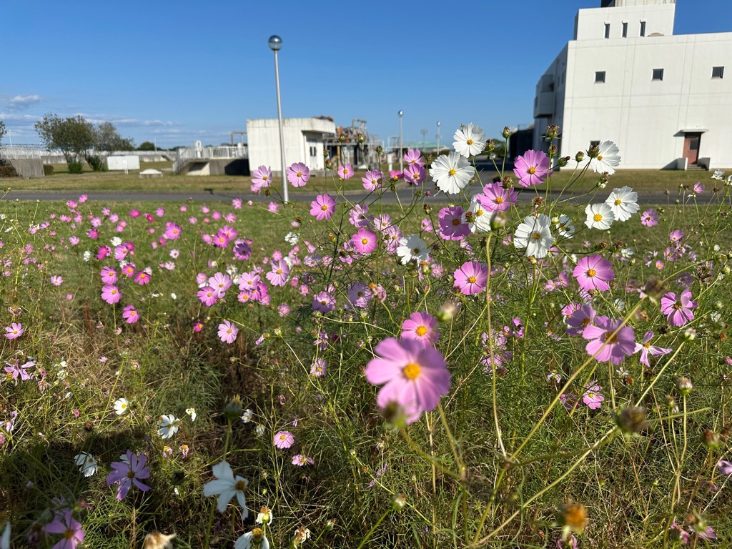 10月24日写真