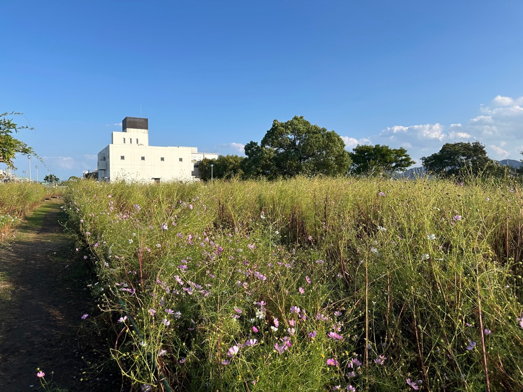 10月28日写真その2