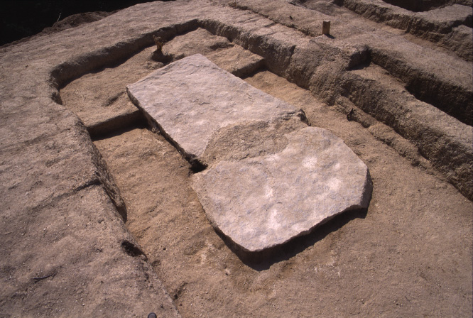 写真中央に16号墳の主体部が平面的に残る