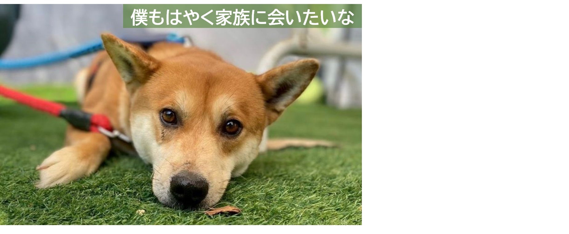 訓練中のみなと君