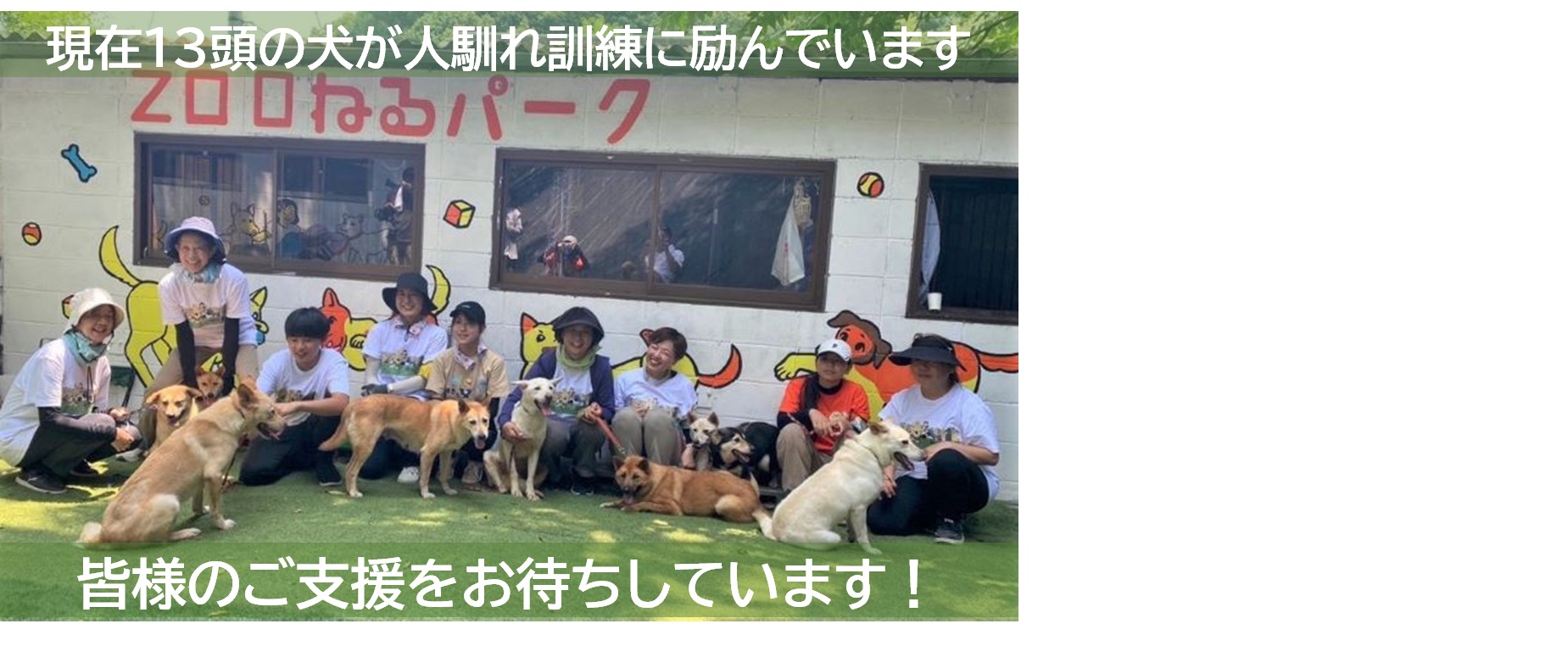皆様の温かいご支援をお待ちしています。