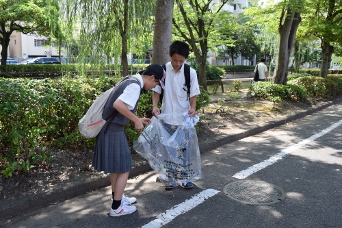 清掃活動の様子