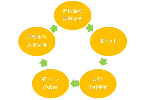 野良猫から地域猫になるまでの実施サイクルの図